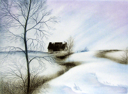 Reflets d'hiver - Duch&ecirc;ne, Darrell