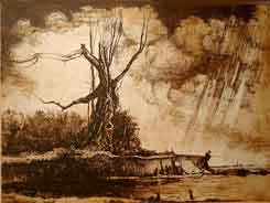 Le gros arbre - Kiss, Peter