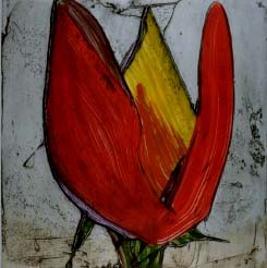 Tulipe - Lacroix, Richard