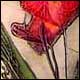 Emergence - Lacroix, Richard