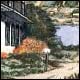 Passeroses - Ouellet, Nicole