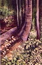 Untitled - Miron, &Eacute;lise