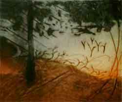 Point lumineux - McCall, Ann