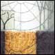 Fragments - McCall, Ann