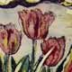 Tulipes - Montoya, Claude