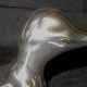 Petit canard - Aluminium