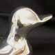 Canard - Aluminium