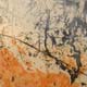 Paysage F - Loste
