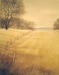 Looking Back - Duch&ecirc;ne, Darrell