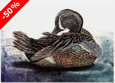 Blue-winged Teal, drake - Ivankovic, Ljubomir
