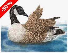 Canada Goose I - Ivankovic, Ljubomir