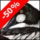 Common Goldeneye - Ivankovic, Ljubomir