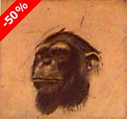 T&ecirc;te (singe) - D&eacute;saulniers, Fr&eacute;d&eacute;ric