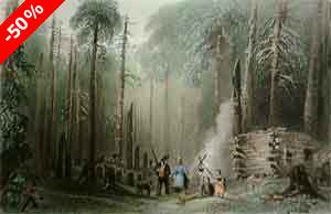 A First Settlement - Bartlett, W. H.