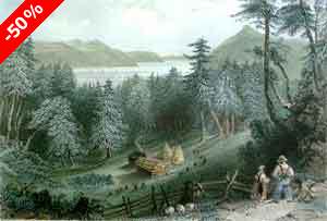 Davis's Clearing - Bartlett, W. H.