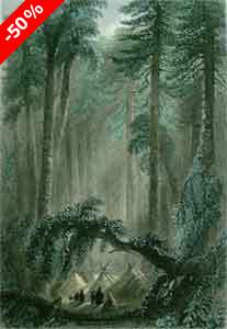 A Forest Scene - Bartlett, W. H.