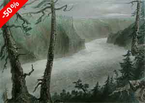 The bank of the River Niagara - Bartlett, W. H.